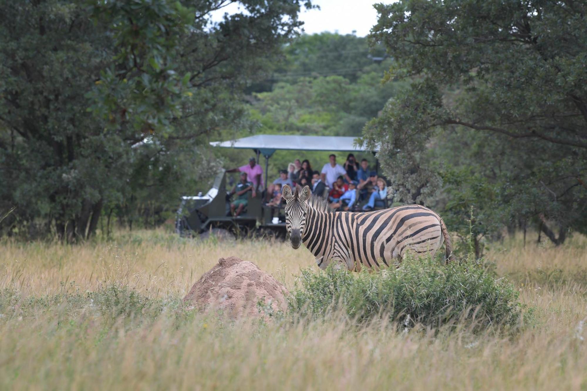 Atkv Klein-Kariba Hotell Bela-Bela Exteriör bild